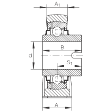 直立式軸承座單元 RASEL40-N, 鑄鐵軸承座，浮動(dòng)軸承，內(nèi)圈有驅(qū)動(dòng)槽，R 型密封